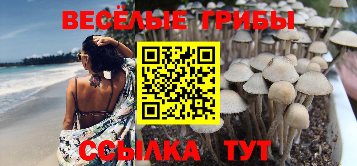 Псилоцибиновые грибы Psilocybe  сколько стоит  Набережные Челны  Вход с VPN 