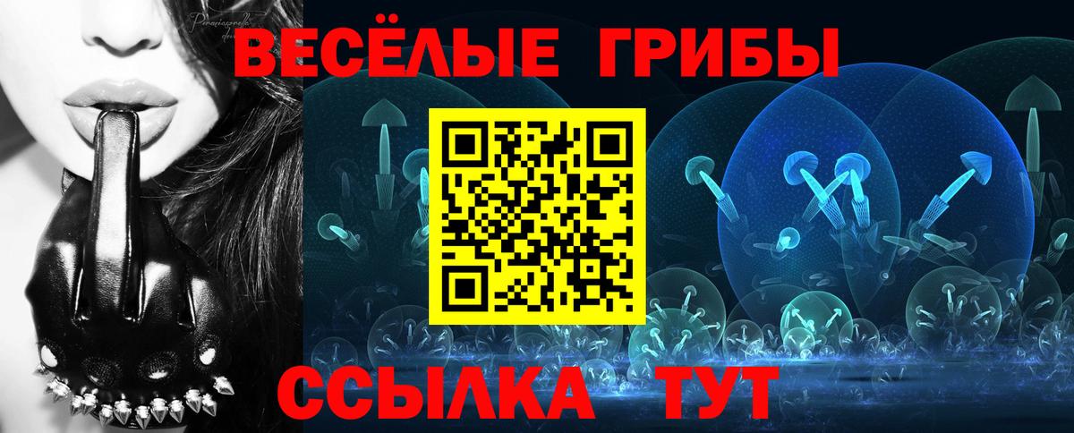 Псилоцибиновые грибы мухоморы Набережные Челны